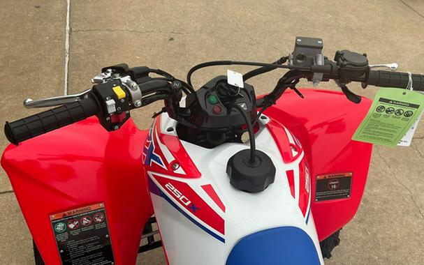 2026 Honda TRX 250X