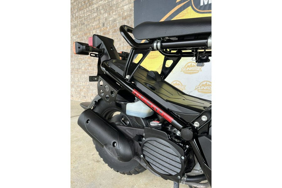 2019 Honda Ruckus