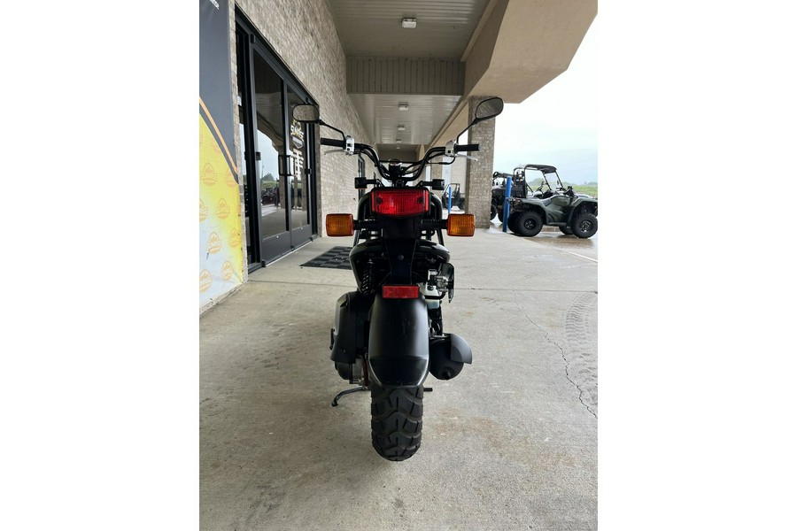 2019 Honda Ruckus