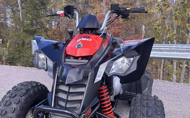 2025 Can-AM DS 250