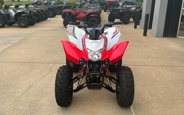 2026 Honda TRX250X