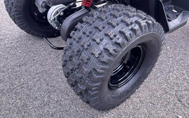 2026 Can-AM RENEGADE 110 EFI