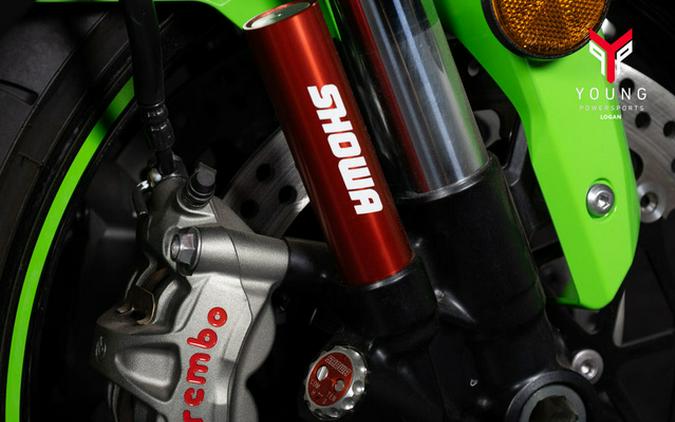 2025 Kawasaki Ninja ZX-10R KRT Edition ABS