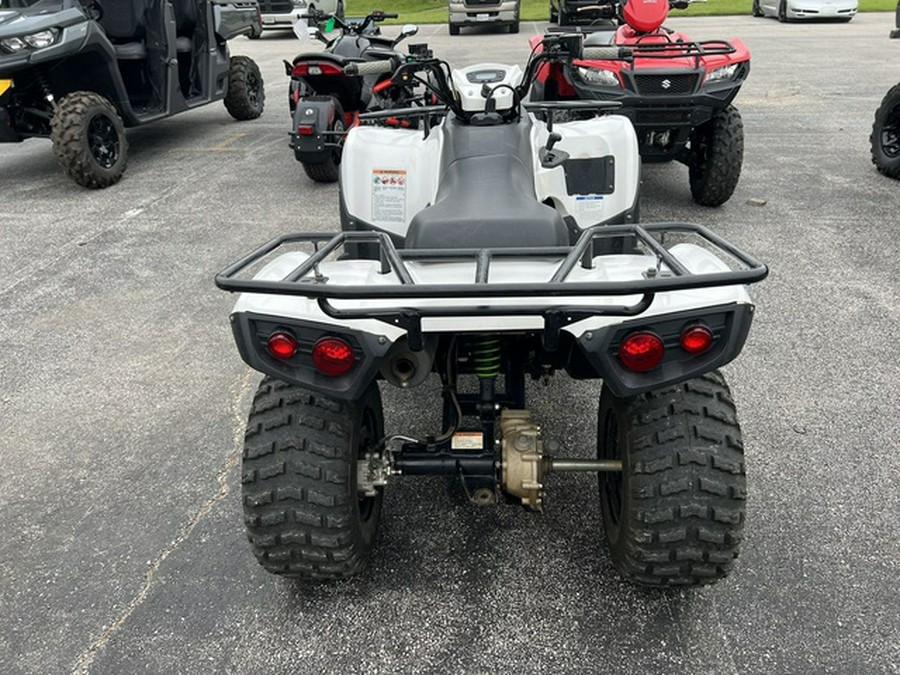 2018 Kawasaki Brute Force 300