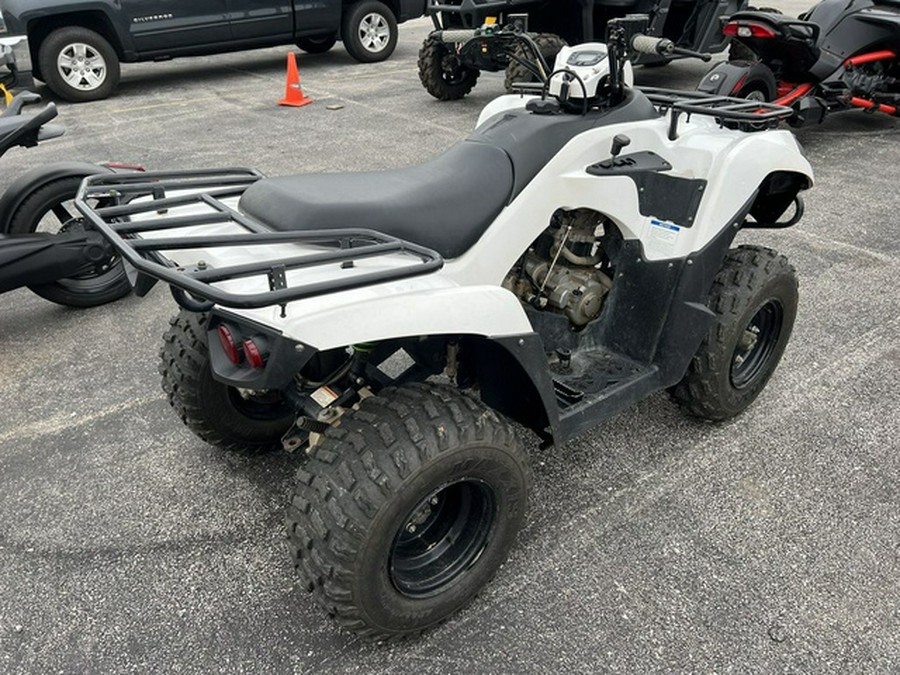 2018 Kawasaki Brute Force 300