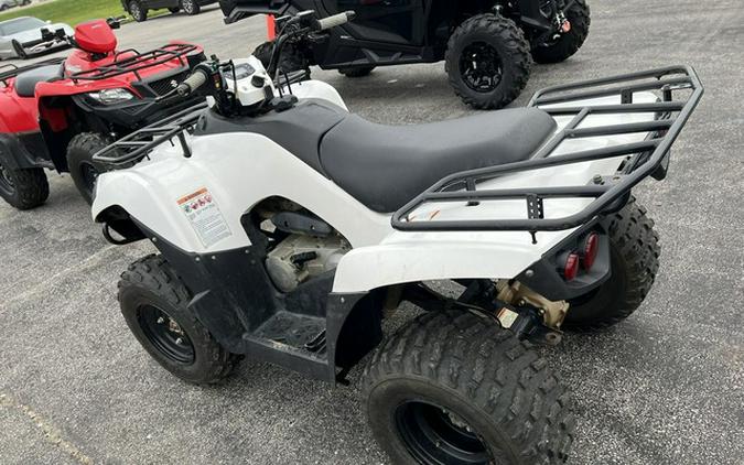 2018 Kawasaki Brute Force 300