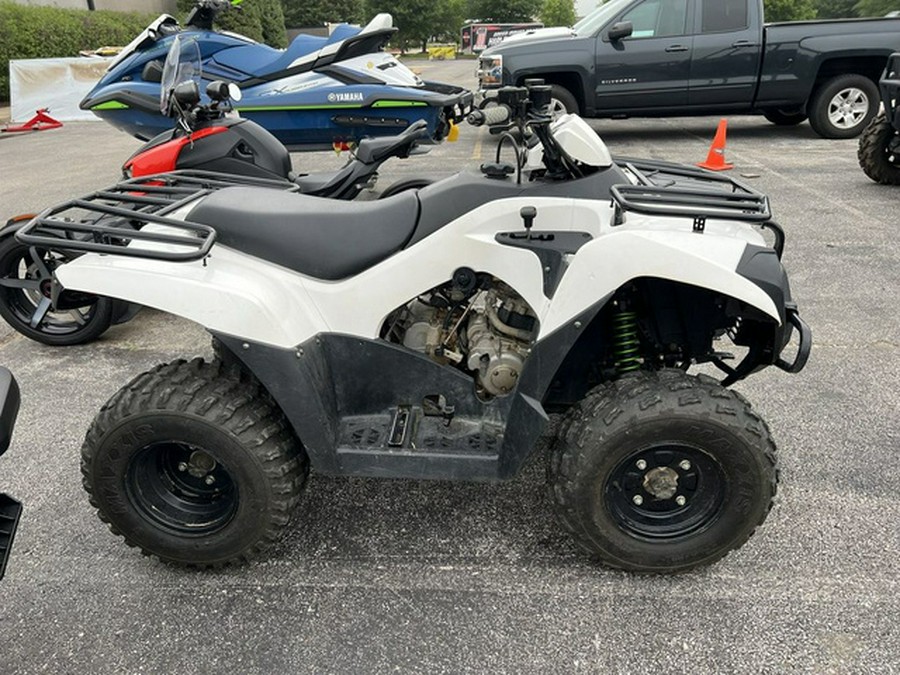 2018 Kawasaki Brute Force 300