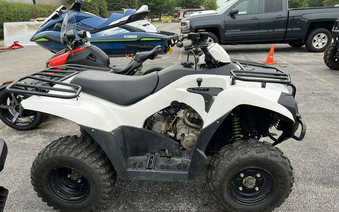 2018 Kawasaki Brute Force 300