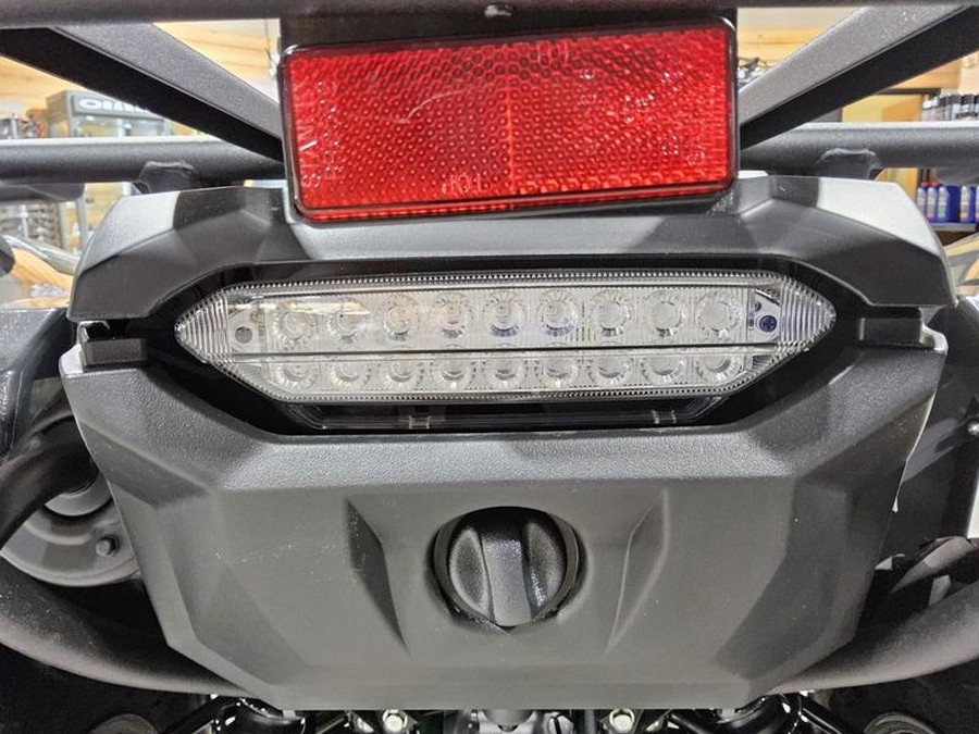 2025 Yamaha Grizzly EPS