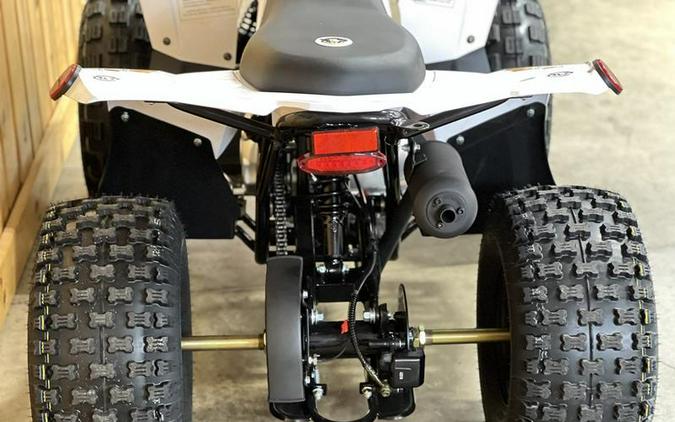 2026 BLP Motor Inc BLP125-D