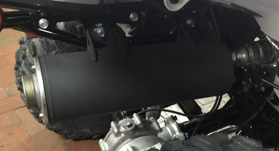 2025 Honda® TRX250X