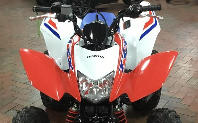 2025 Honda® TRX250X