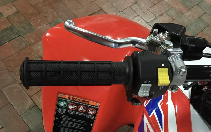 2025 Honda® TRX250X