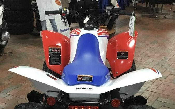 2025 Honda® TRX250X