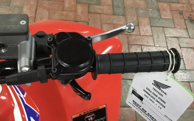 2025 Honda® TRX250X
