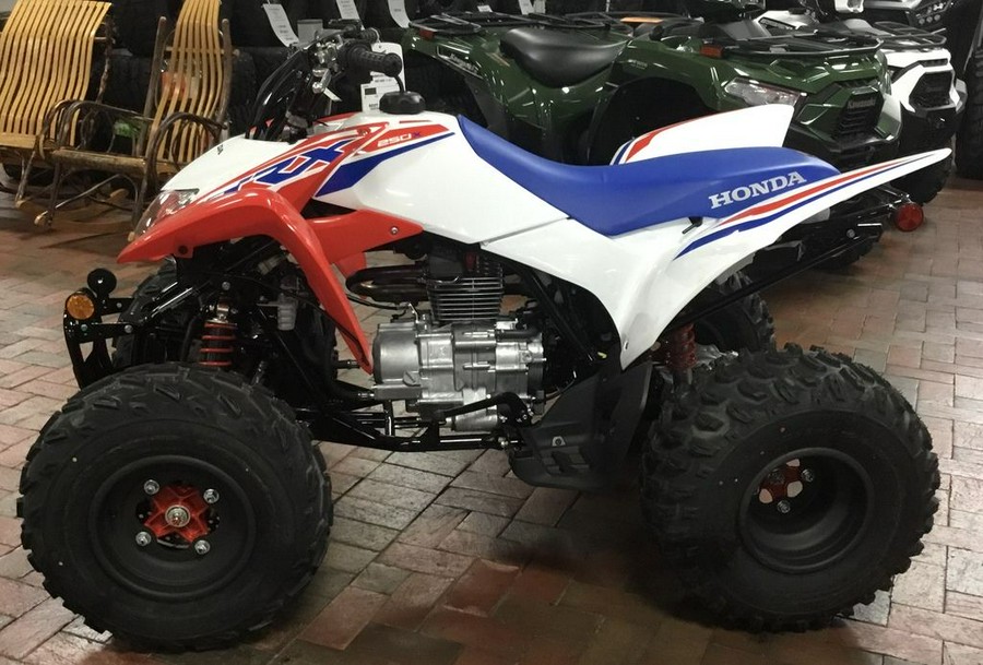 2025 Honda® TRX250X