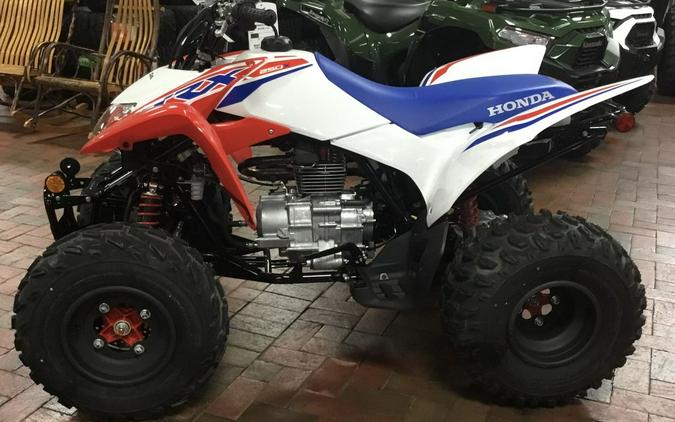 2025 Honda® TRX250X