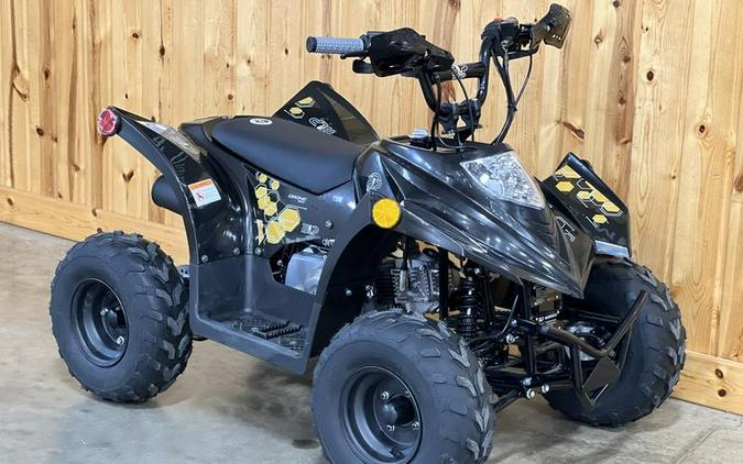 2026 BLP Motor Inc BLP70