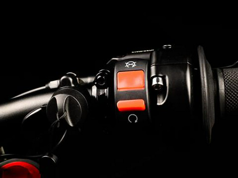 2025 Rawrr Mantis Mini Pup