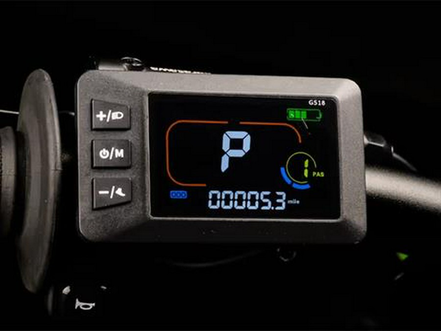 2025 Rawrr Mantis Mini Pup