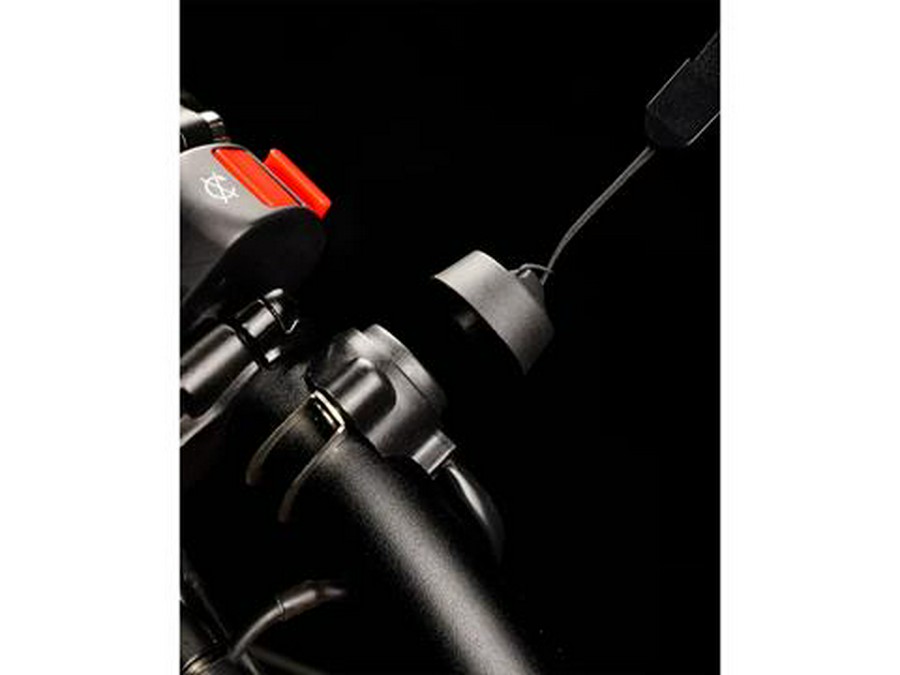 2025 Rawrr Mantis Mini Pup