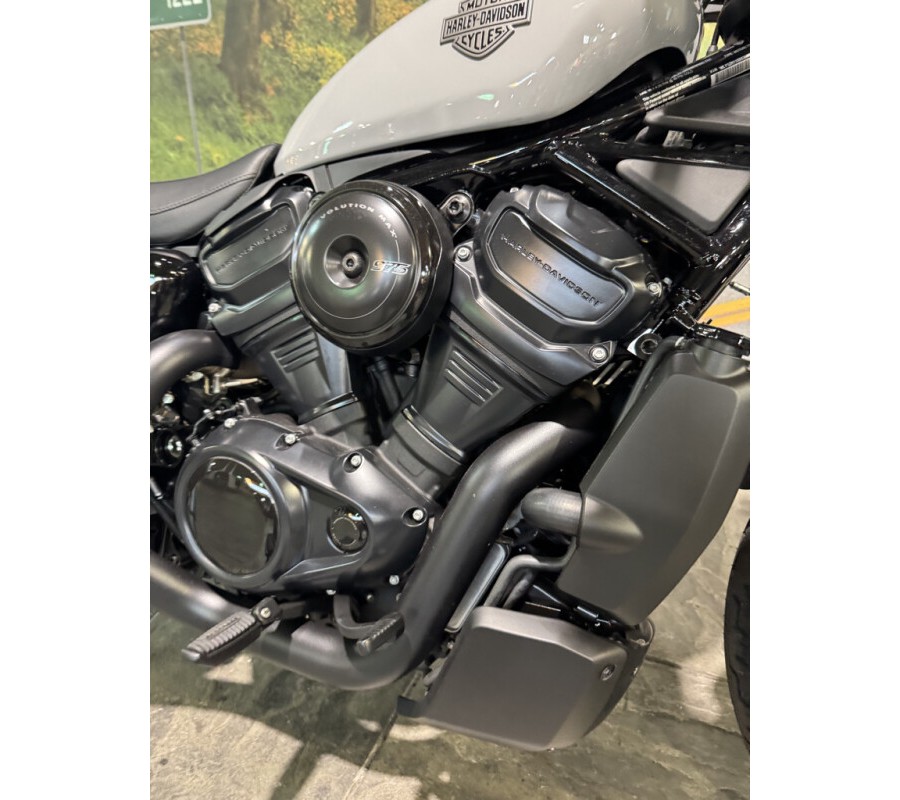 2025 Harley-Davidson Nightster
