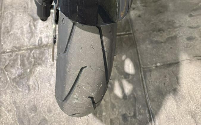 2025 Harley-Davidson Pan America 1250 ST