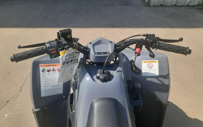 2023 KYMCO Mongoose 90S