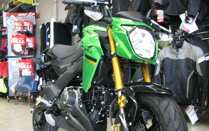 2024 Kawasaki Z125 PRO