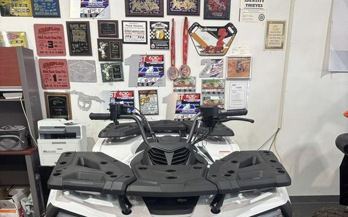 2025 CFMOTO CFORCE 500