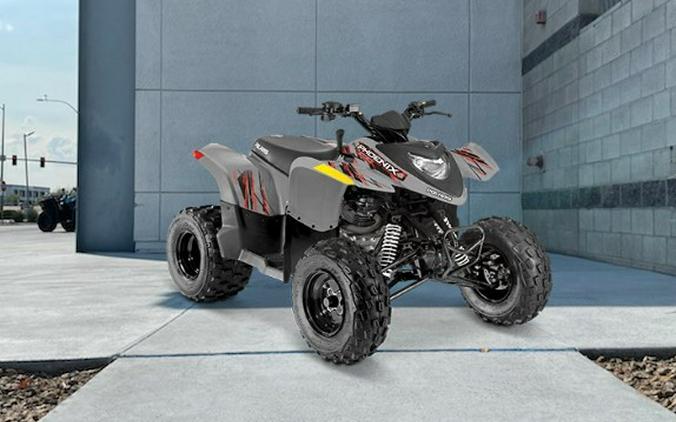 2024 Polaris Industries PHOENIX 200 AVALANCHE GRAY