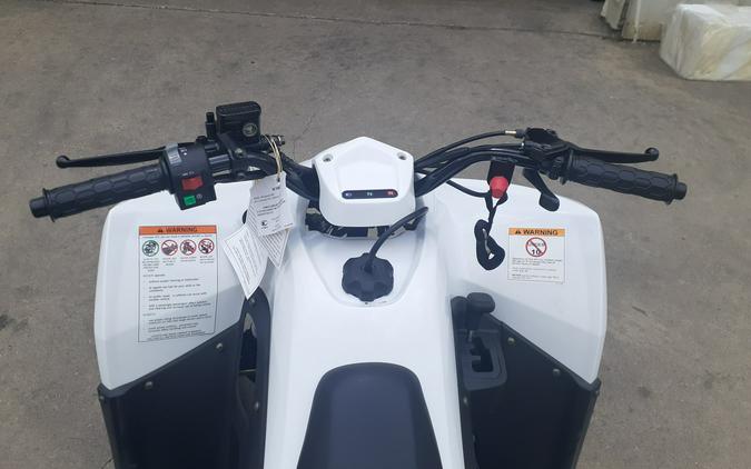 2023 KYMCO Mongoose 90S