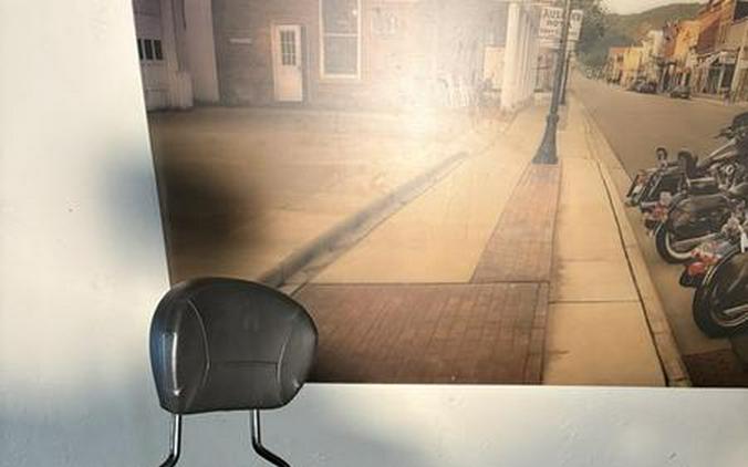 2024 Harley-Davidson® FLHX - Street Glide®