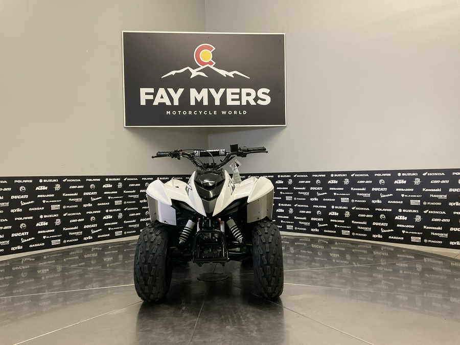 2027 KAWASAKI KFX 90 - 63483K