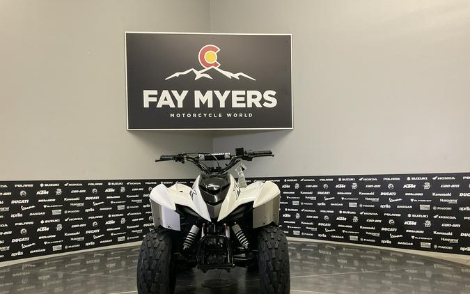2027 KAWASAKI KFX 90 - 63483K