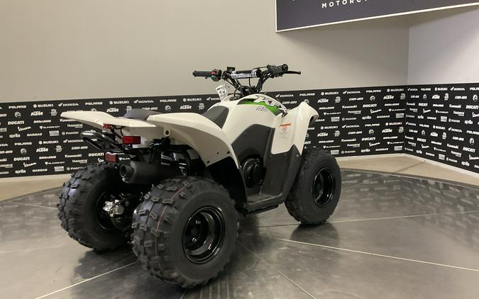 2027 KAWASAKI KFX 90 - 63483K