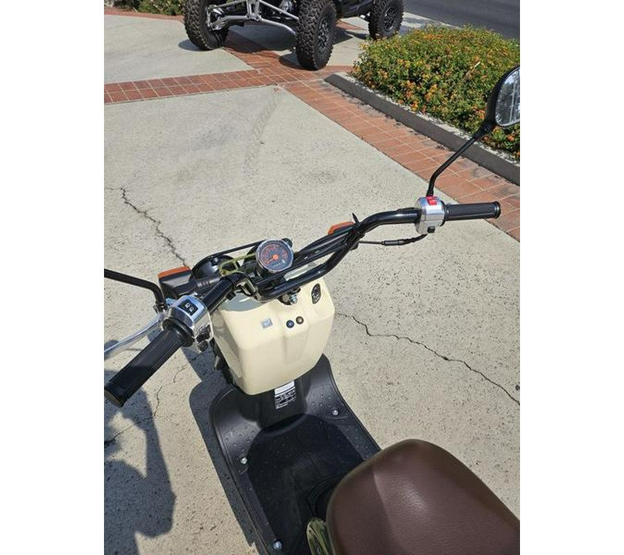 2024 Honda® Ruckus