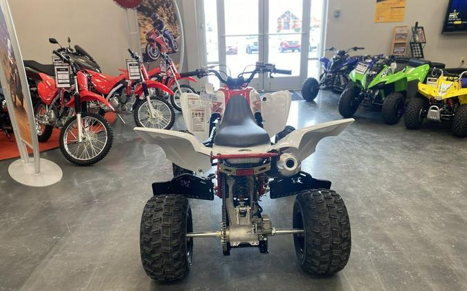 2026 Yamaha Raptor 700R SE