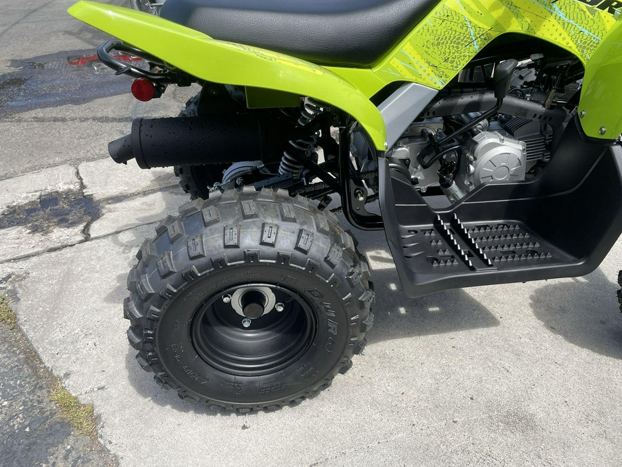 2026 Yamaha Raptor 110