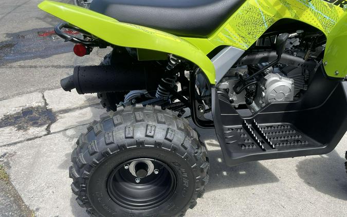 2026 Yamaha Raptor 110