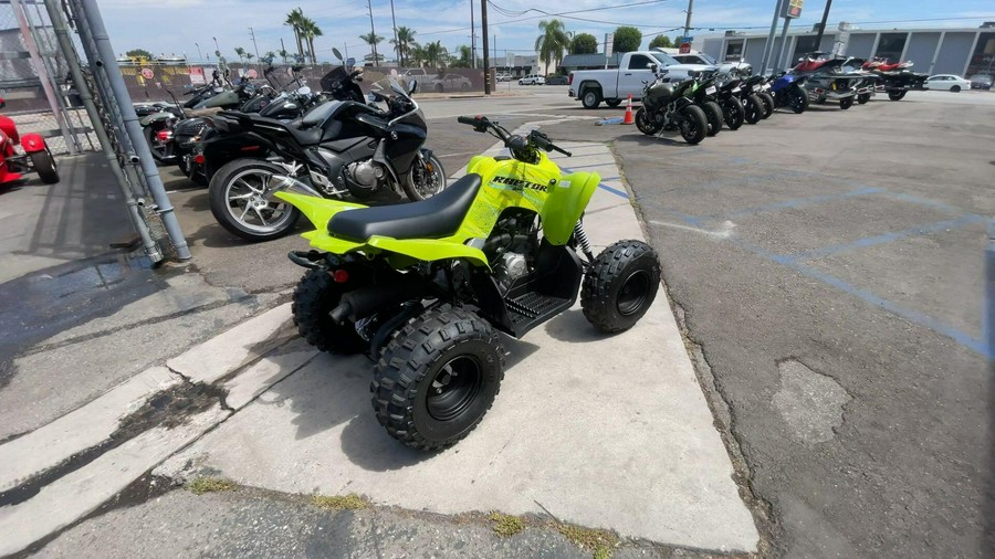 2026 Yamaha Raptor 110