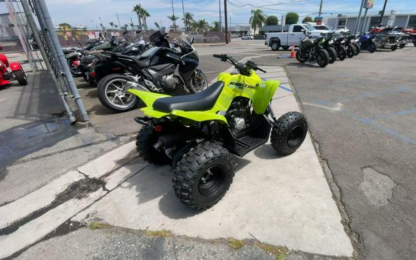 2026 Yamaha Raptor 110