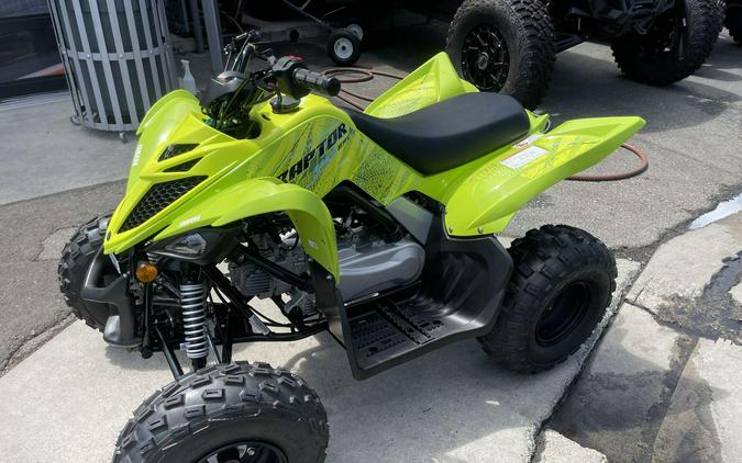 2026 Yamaha Raptor 110
