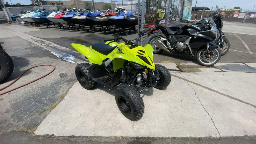 2026 Yamaha Raptor 110
