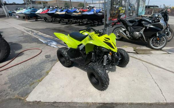 2026 Yamaha Raptor 110