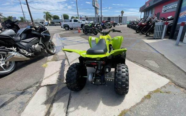 2026 Yamaha Raptor 110
