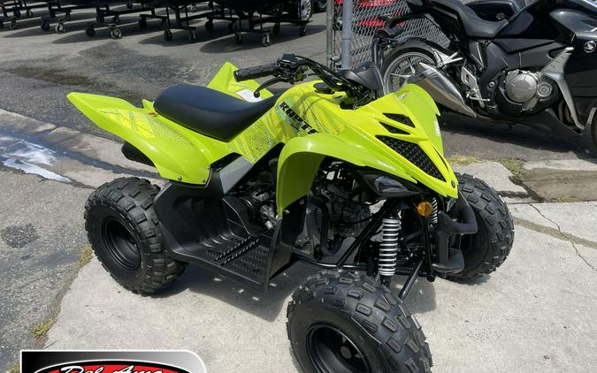 2026 Yamaha Raptor 110