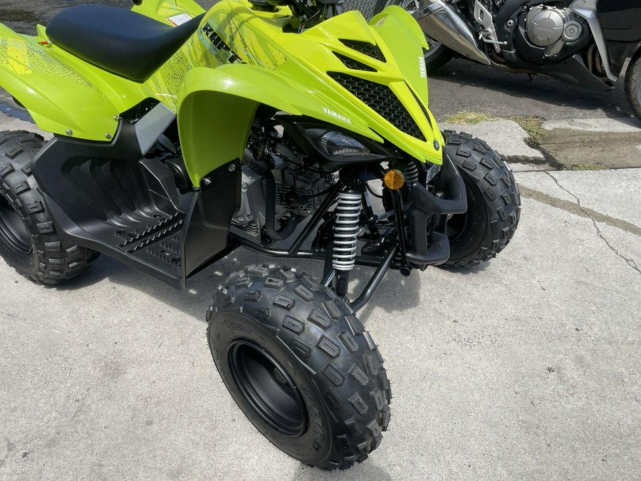 2026 Yamaha Raptor 110