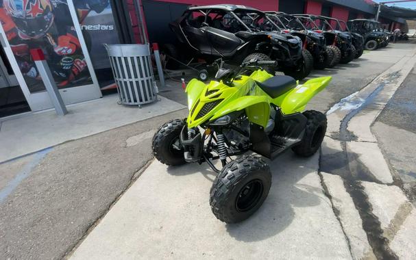 2026 Yamaha Raptor 110
