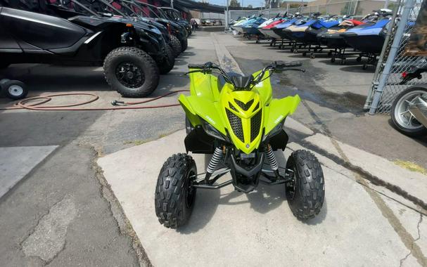 2026 Yamaha Raptor 110